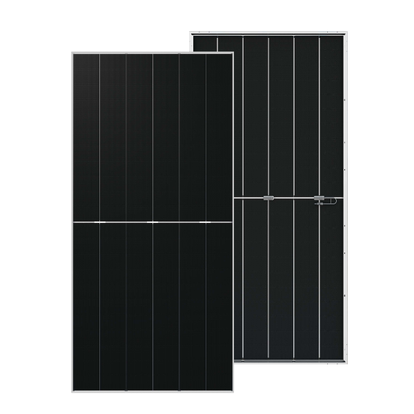 DMEGC Solar DM650G12RT-B66HSW 650 W
