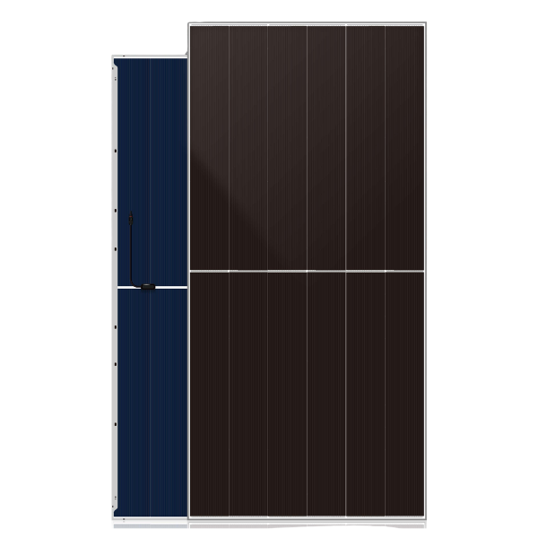 DAH DHN-66Z20/DG 650Wp
